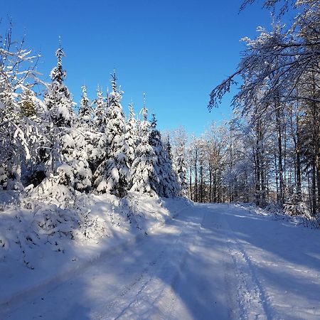 Ferienhaus Am Ruhberg Winterberg Eksteriør bilde