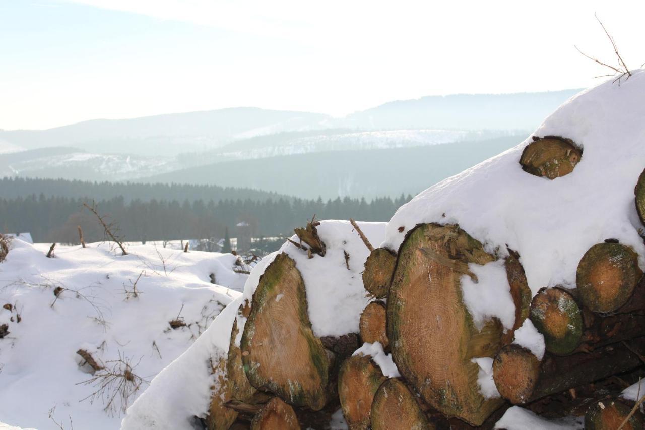 Ferienhaus Am Ruhberg Winterberg Eksteriør bilde