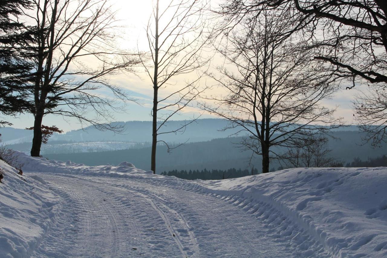 Ferienhaus Am Ruhberg Winterberg Eksteriør bilde