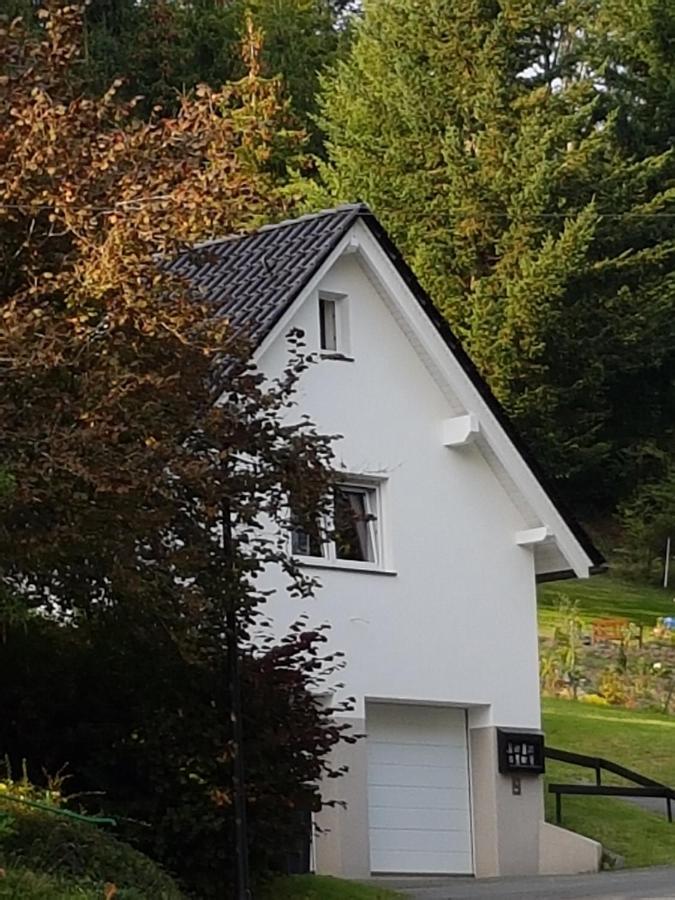 Ferienhaus Am Ruhberg Winterberg Eksteriør bilde