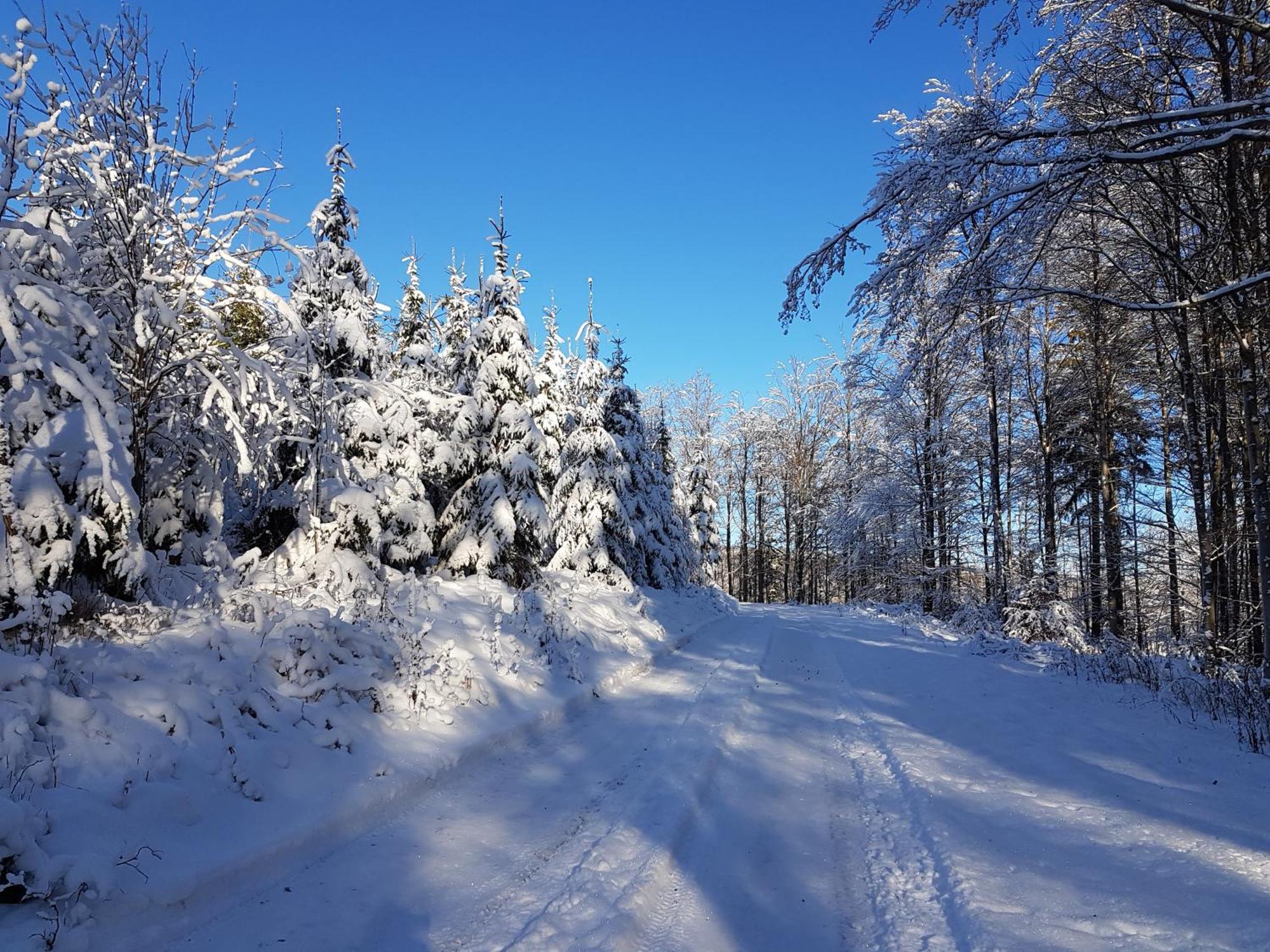 Ferienhaus Am Ruhberg Winterberg Eksteriør bilde